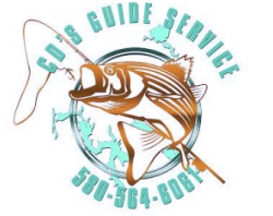 CD's Guide Service