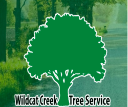 Wildcat Creek Tree Service