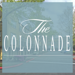 The Colonnade Luxury Townhome Rentals