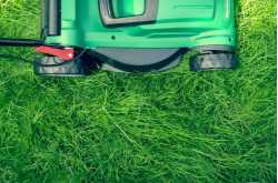 Grass-Hoppers Lawn Care