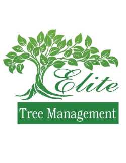 Elite Tree Management