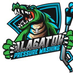 Alagator Pressure Washing