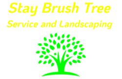 Stay Brush Tree Service & Landscaping