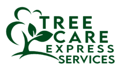 Tree Care Express and Services
