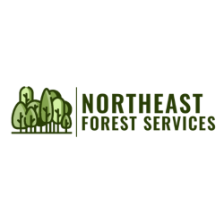 Northeast Forest Services