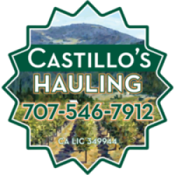 Castillo Hauling