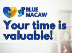 Blue Macaw Cleaning Services