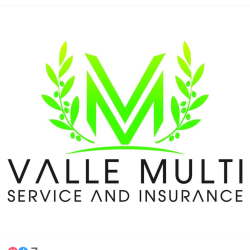 Valle Multi Service and Insurance LLC