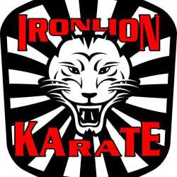 Iron Lion Karate