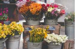 Mendoza Flowers Shop