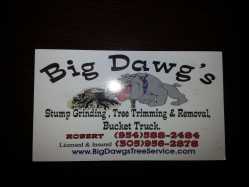 Big Dawgs Tree Service and Arbor